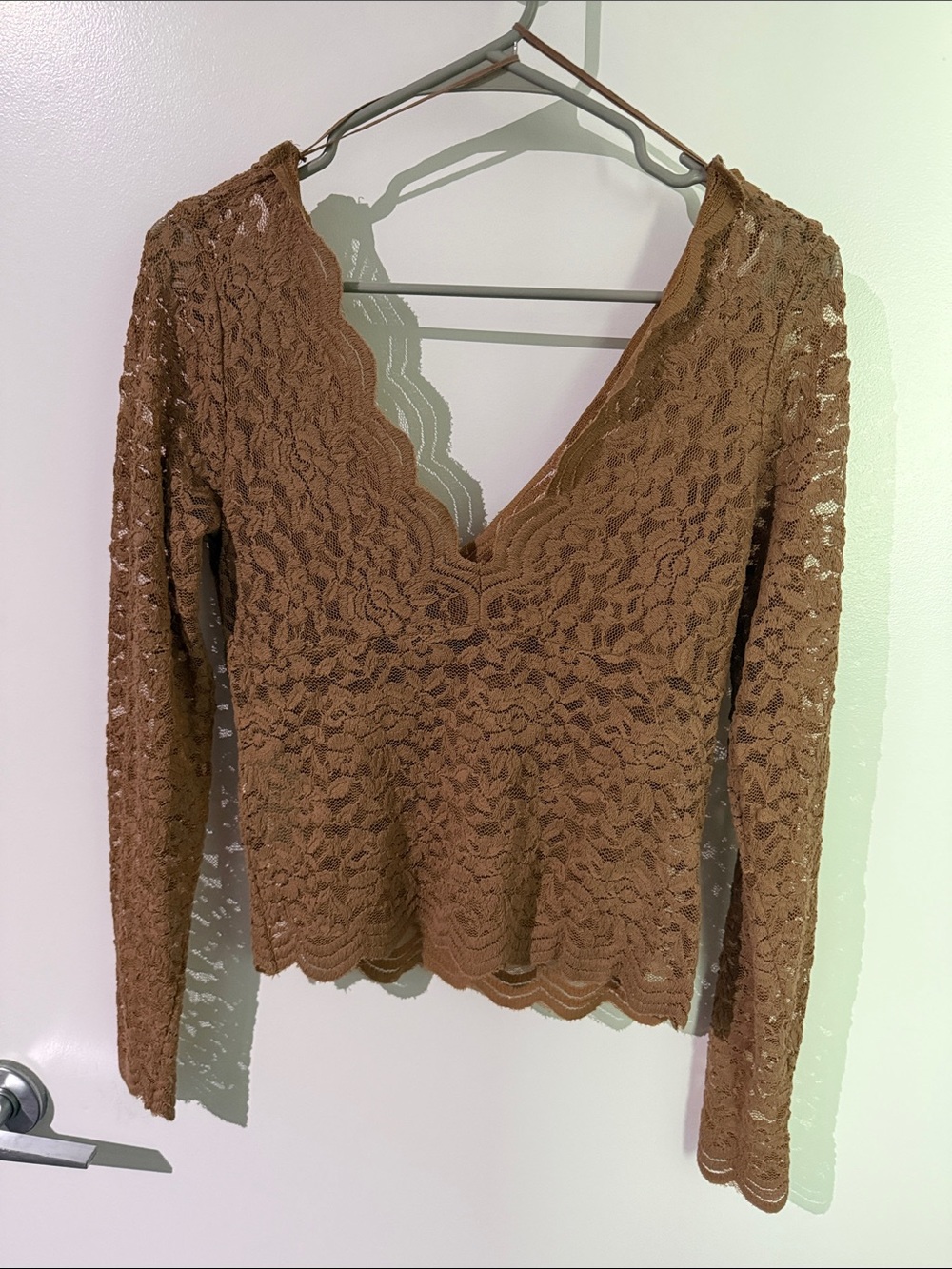 Zara Brown Lace V-Neck Long Sleeve Blouse Off the Shoulders
